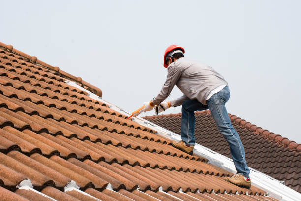 Best Sheet Metal Roofing  in Greene, RI